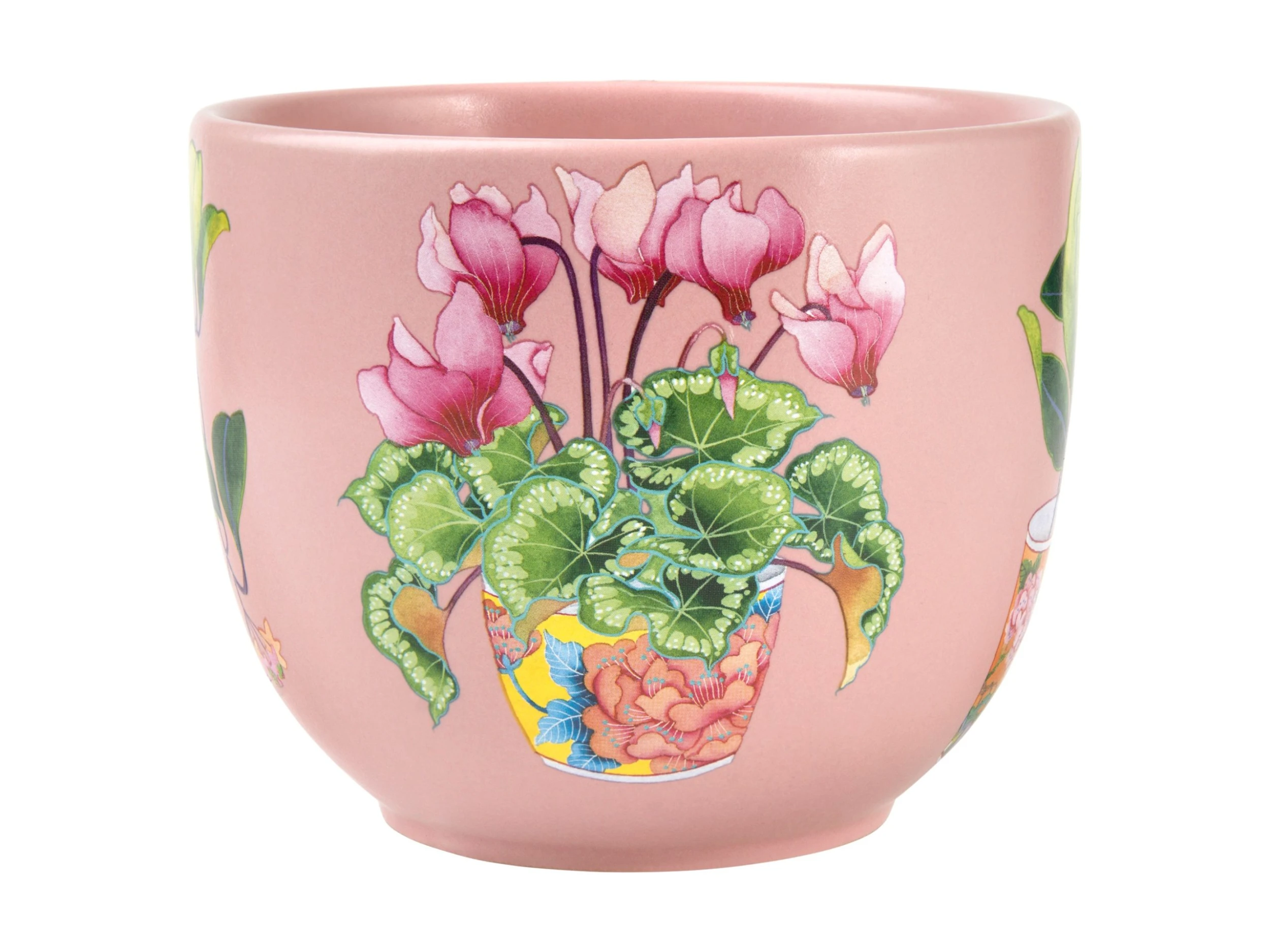 Gabby Malpas Jardin Planter Pot 12cm Cyclamen