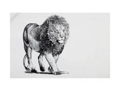 Marini Ferlazzo Tea Towel 50x70cm African Lion